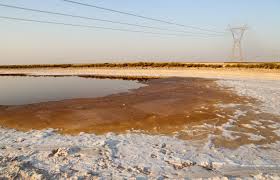 شور شدن مصنوعی