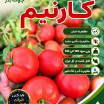 بذر گوجه فرنگی کارنیم