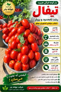 بذر گوجه تیفال