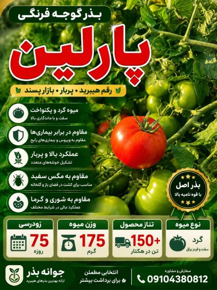 بذر گوجه فرنگی پارلین - جوانه بذر