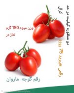 وقتی قیمت، زبان سود را بلد است