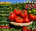 تناژ بذر گوجه 074 در هکتار
