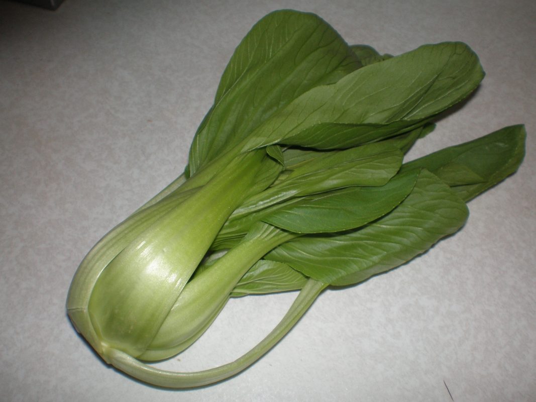 کلم چینی