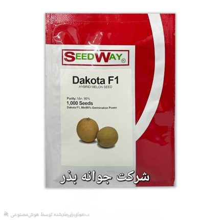 بذر ملون داکوتا