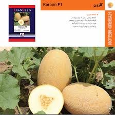 بذر ملون کارون