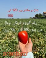 بذر گوجه فرنگی تیفال