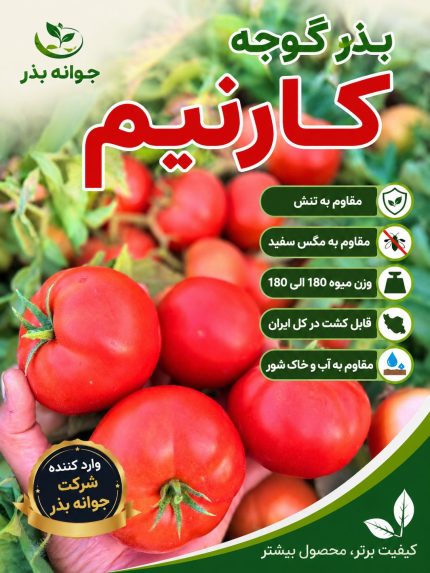 بذر گوجه فرنگی کارنیم