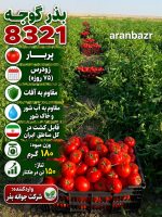 بذر گوجه فرنگی 8321