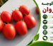 ارقام هیبرید پربار گوجه فرنگی