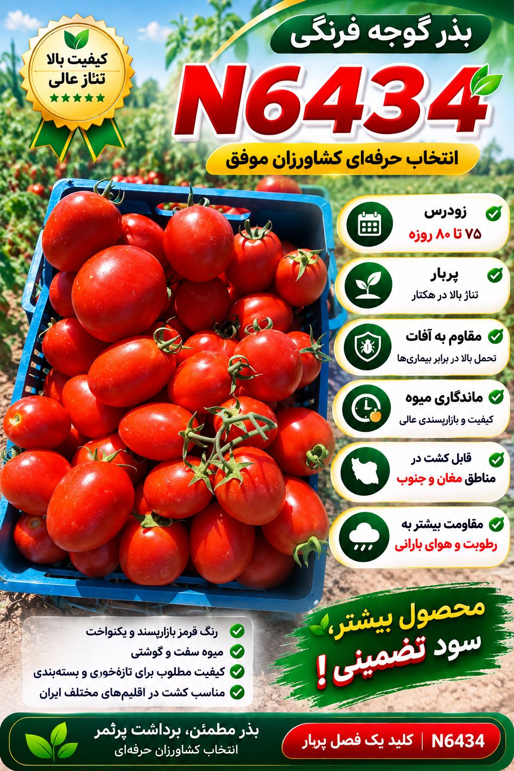 بذر گوجه فرنگی n 6434 بذر گوجه فرنگی n 6434