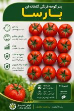 بذر گوجه گلخانه ای بارسا
