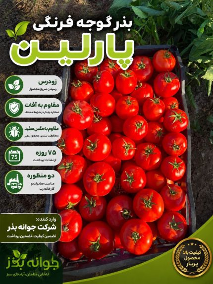 بذر گوجه فرنگی پارلین - جوانه بذر