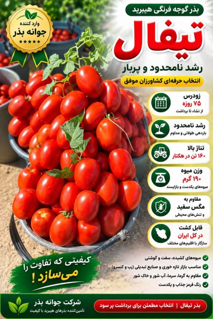 بذر گوجه فرنگی کرال