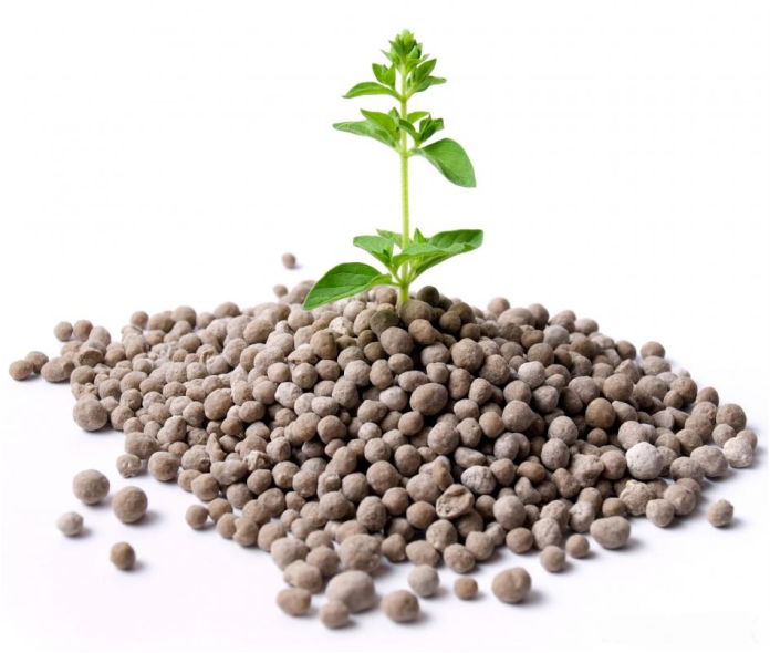 فسفر