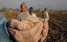 واکنش خاک