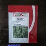 بذر خیار نکست