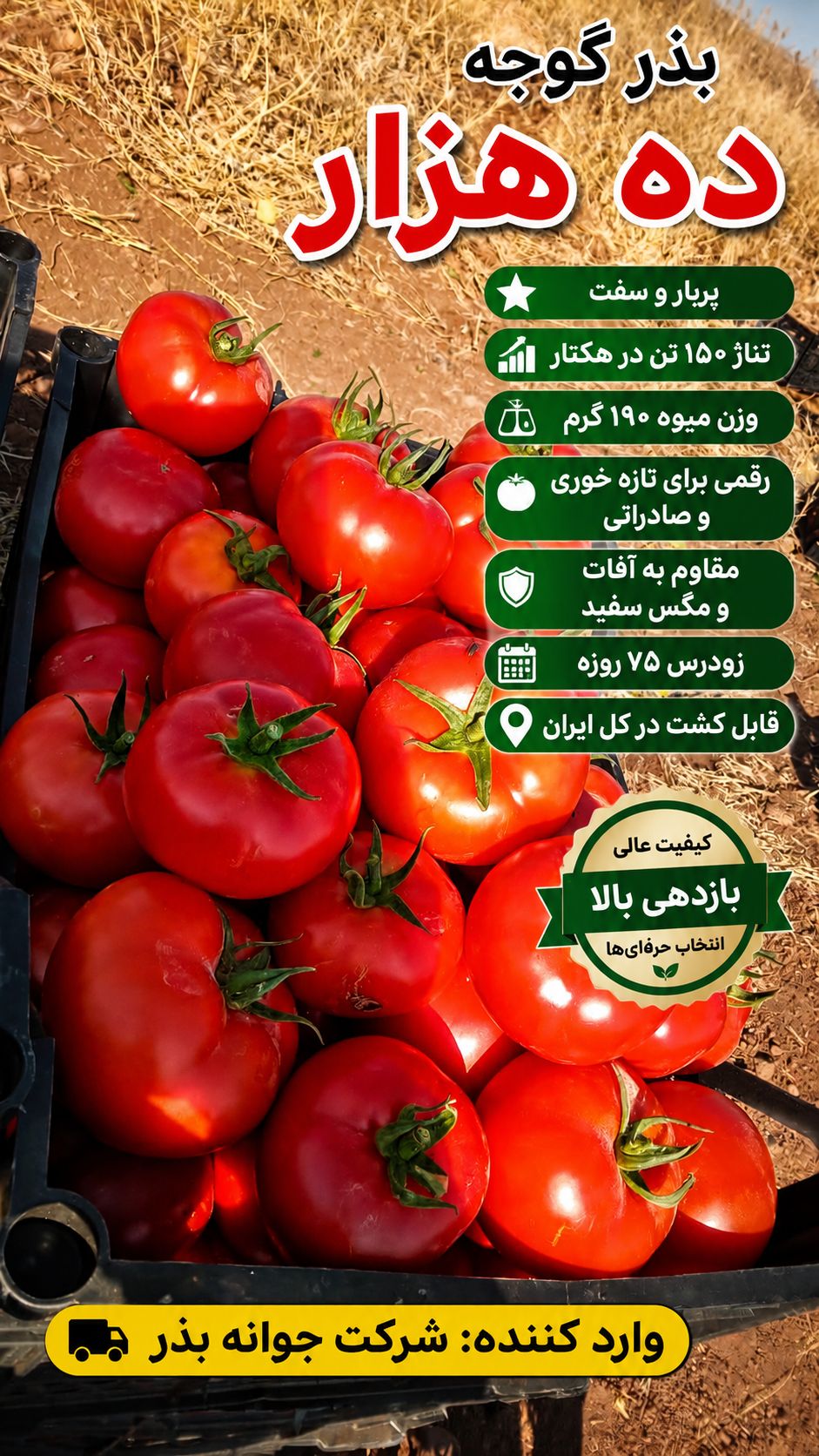 بذر گوجه فرنگی