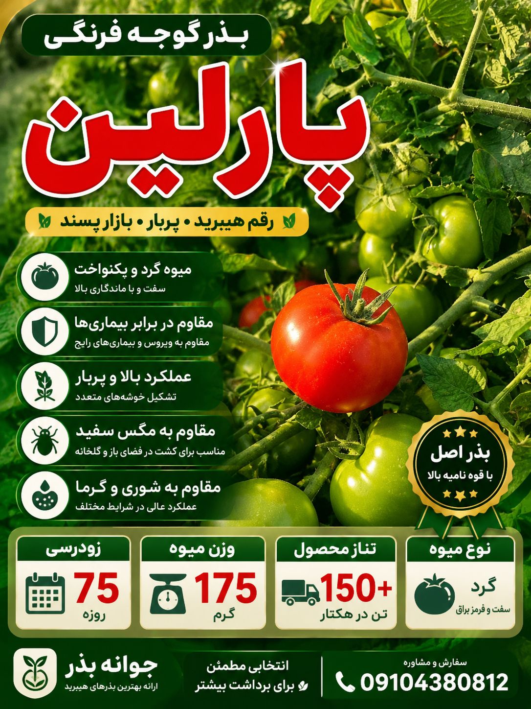 بذر گوجه بازار پسند پارلین