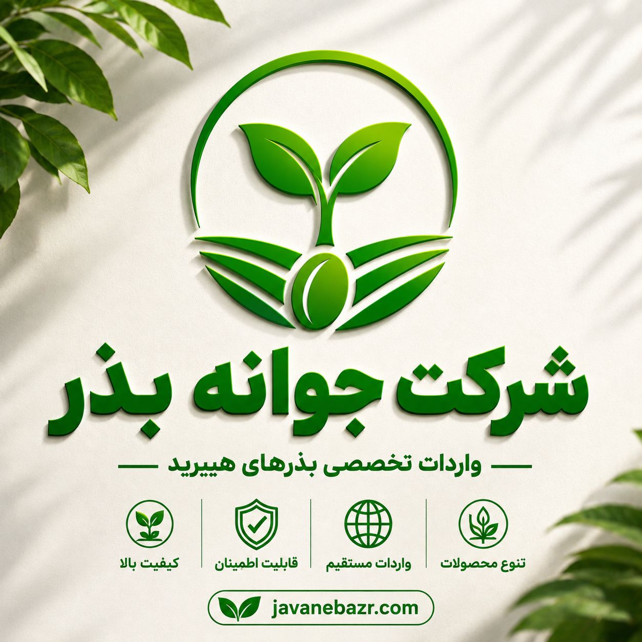 تاریخ تولید بذر گوجه فرنگی چقدر اهمیت دارد؟